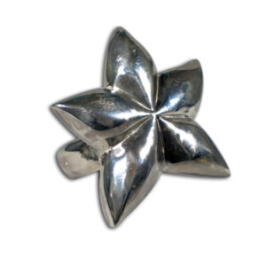 anello argento