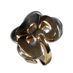 anello bronzo e argento