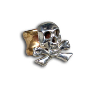 anello bronzo e argento