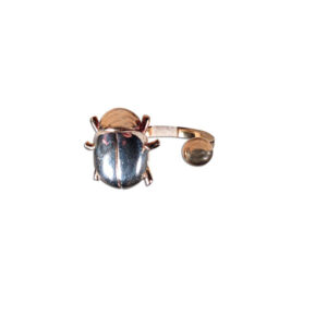 anello coccinella argento e bronzo