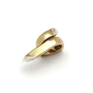 Un anello lancia argento e bronzo